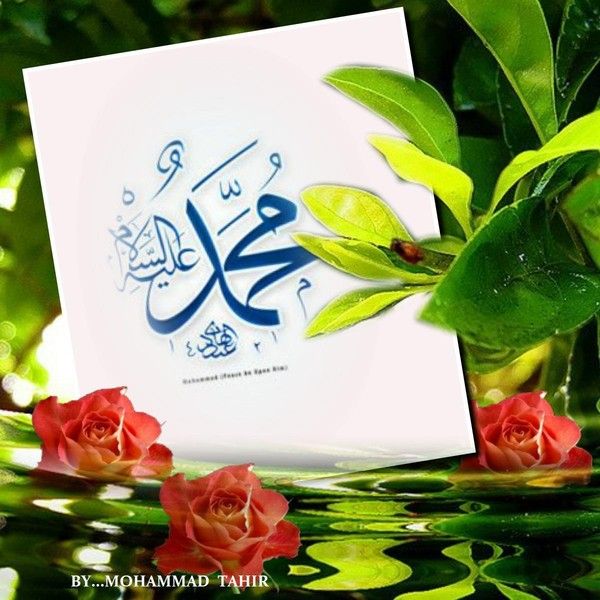 leprophètemuhammad(pbsl)71